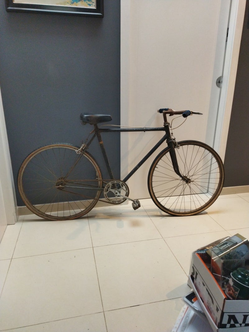 bicicleta 