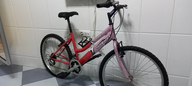 bicicleta 24