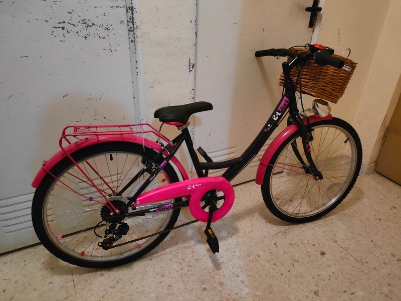 BICICLETA 24