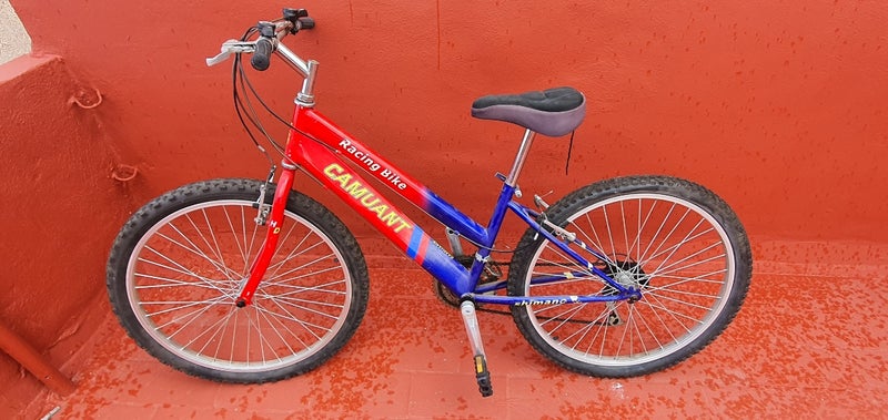 Bicicleta Camuant 