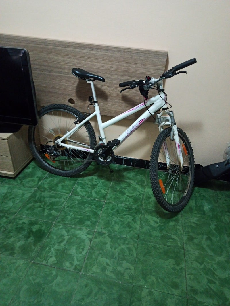 Bicicleta coluer