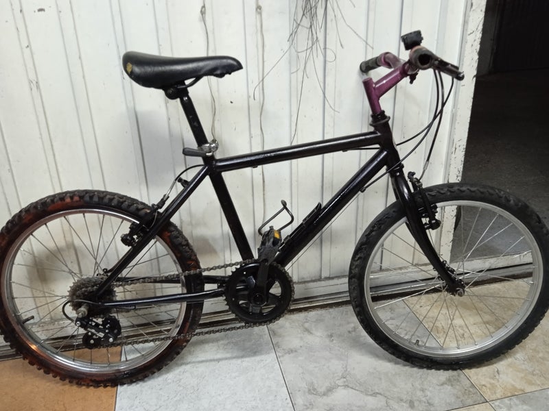 Bicicleta de 20 pulgadas
