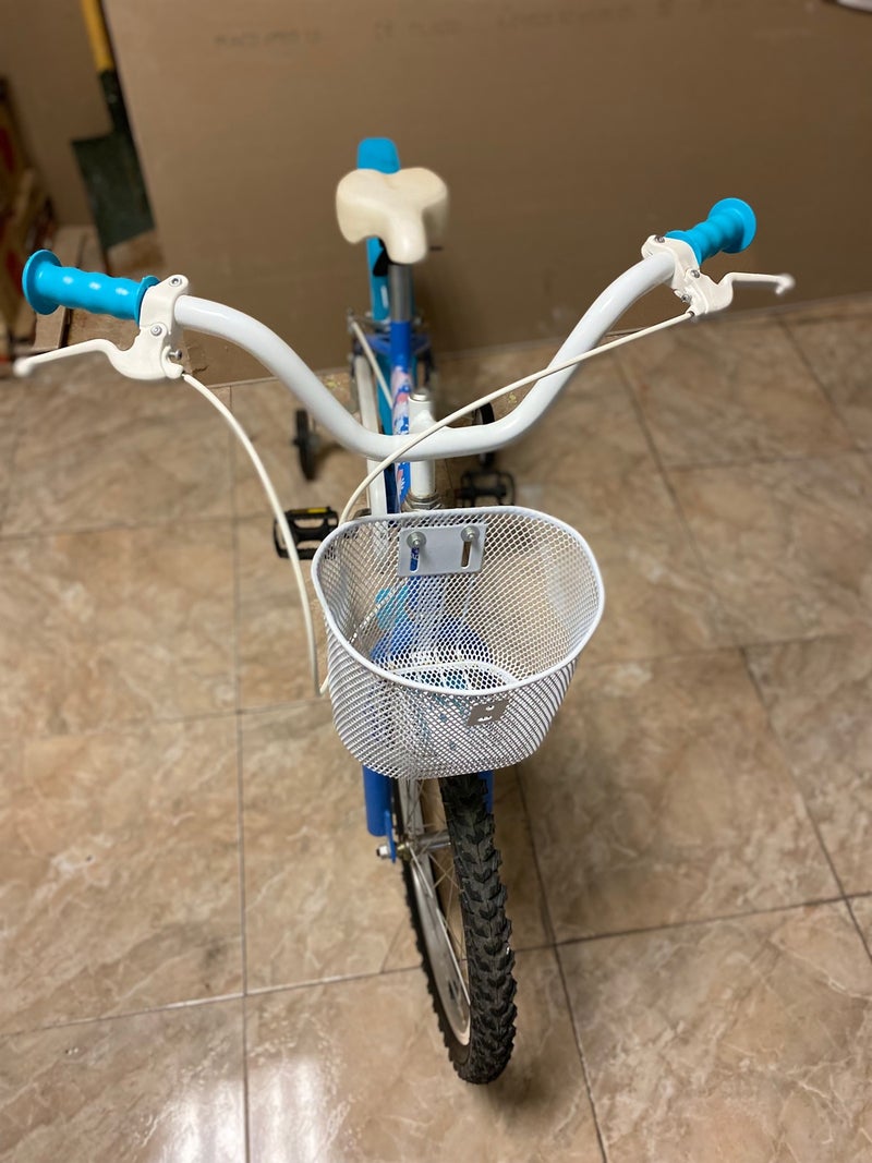 Bicicleta de Fronze  
