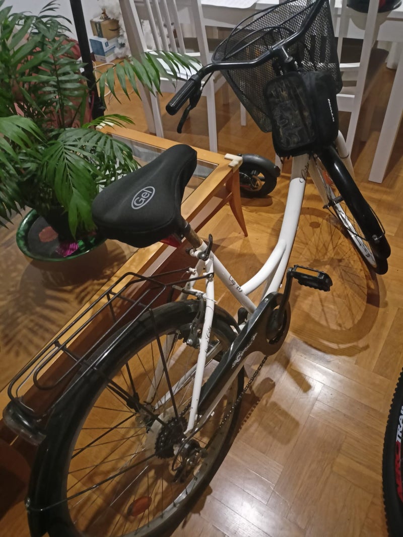 Bicicleta de mujer 