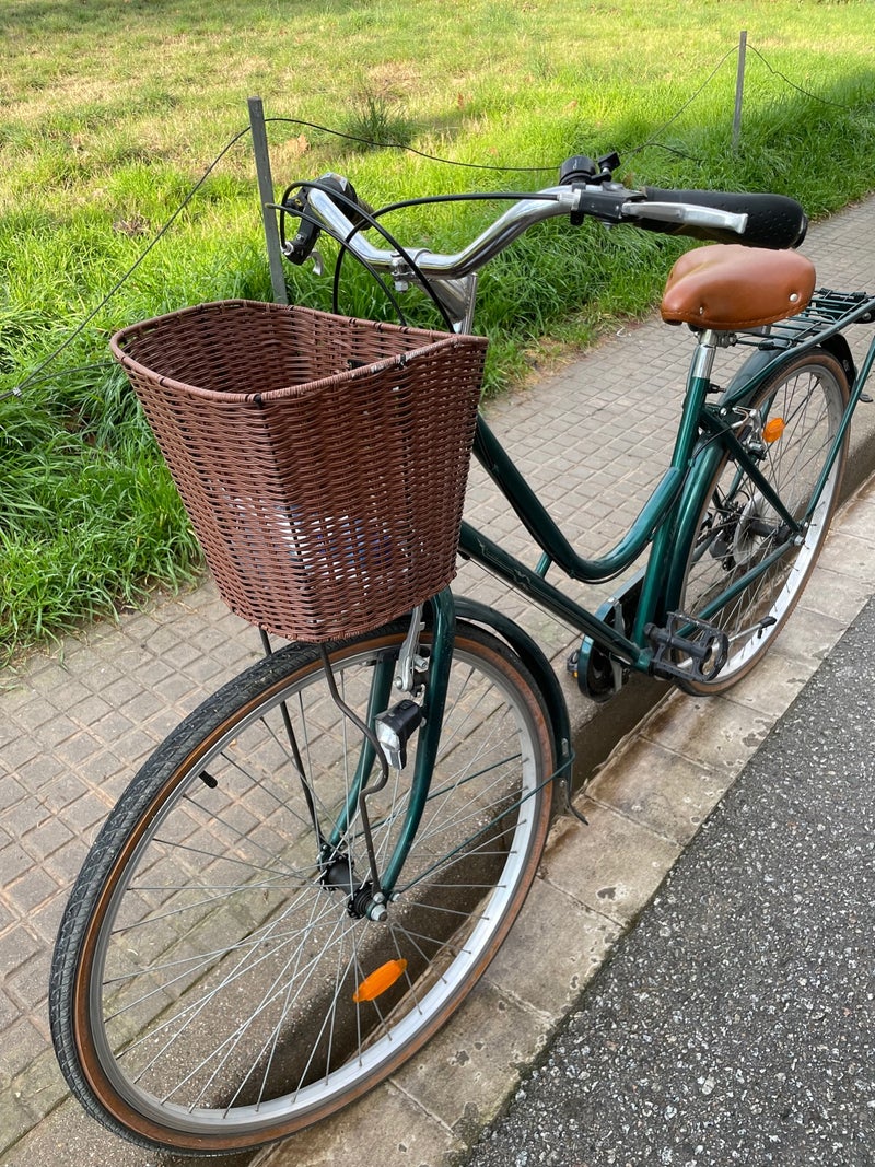 Bicicleta de paseo