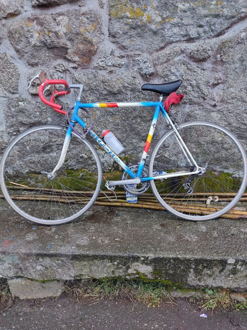 bicicleta Esmaltina