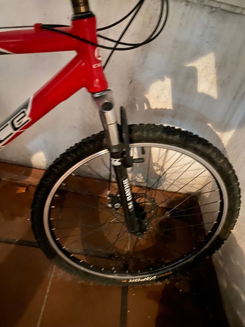 Bicicleta Ibiza Agece