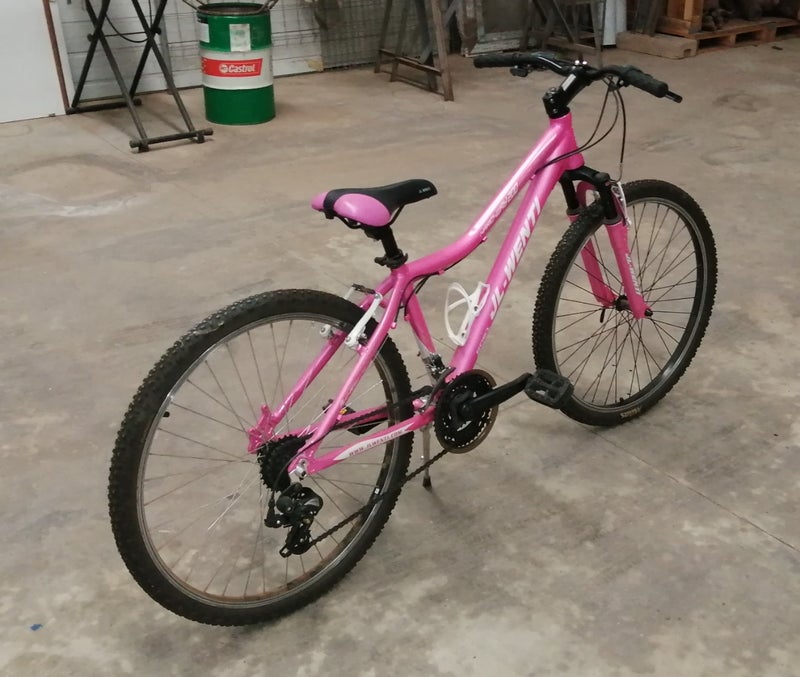Bicicleta jl-wenti 26
