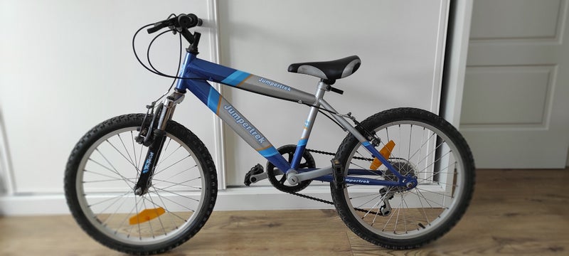 Bicicleta niñ@ 20 pulgadas