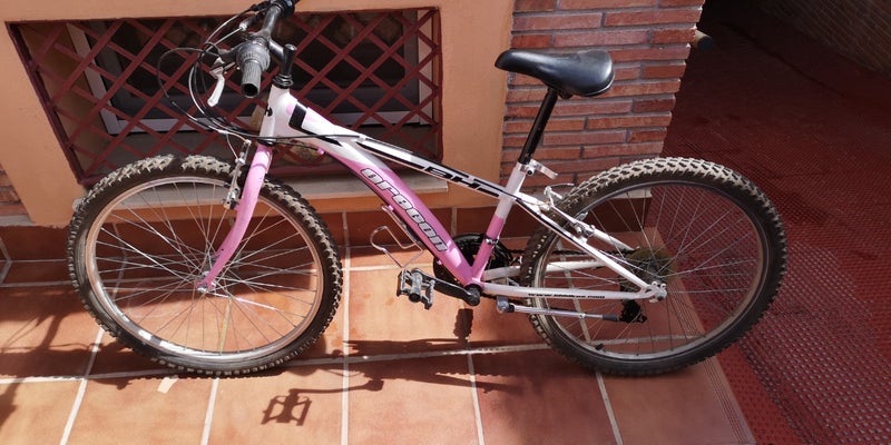 Bicicleta niña Rosa 24 pulgadas 