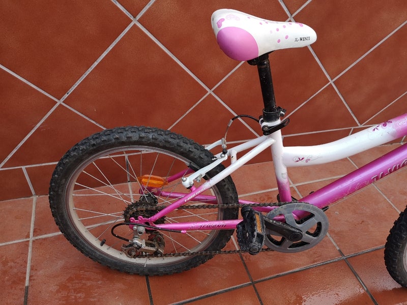 Bicicleta para niña/o