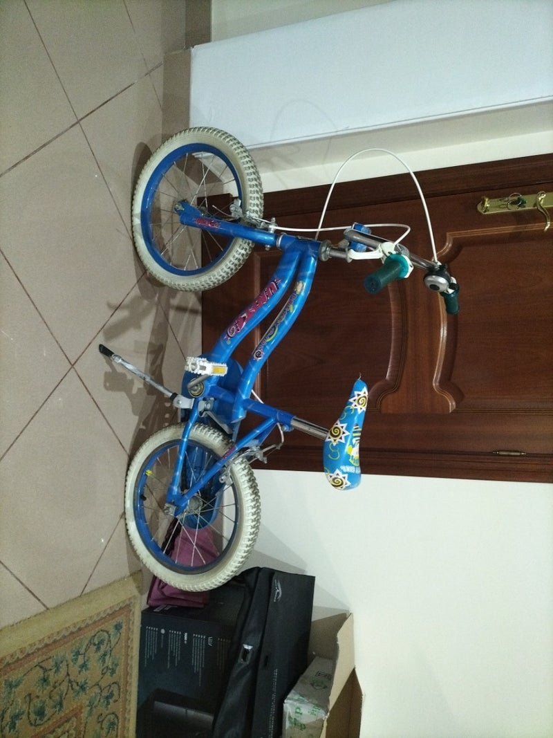 Bicicleta para niñxs