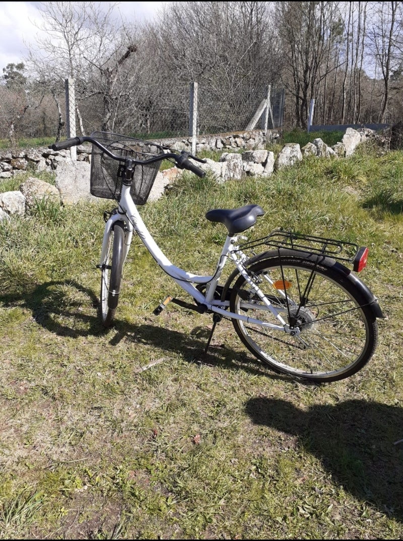 bicicleta paseo con cesta