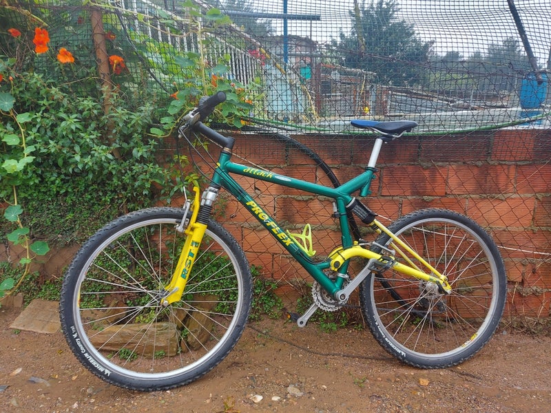 Bicicleta proflex