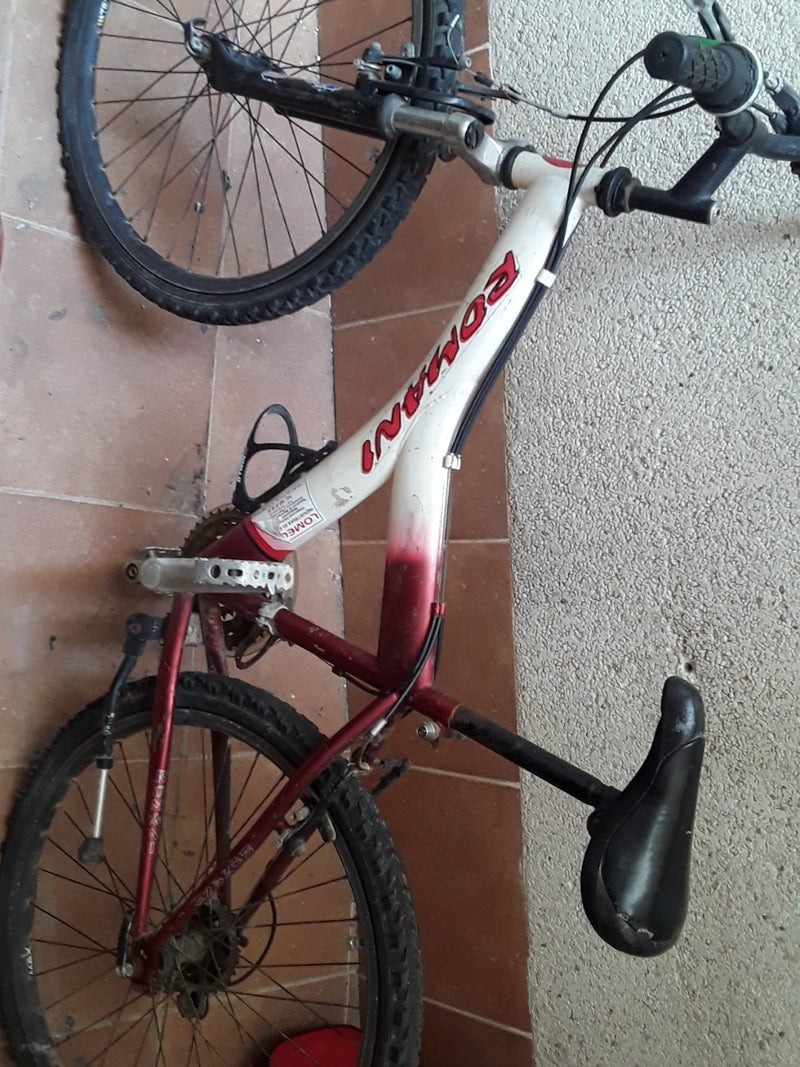 Bicicleta Romani 