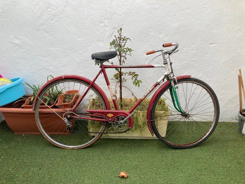 Bicicleta torrot varillas 3v 
