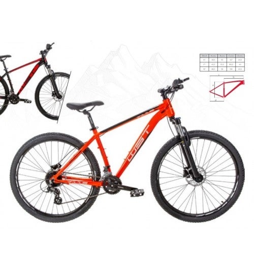 Bicicleta WST montaña