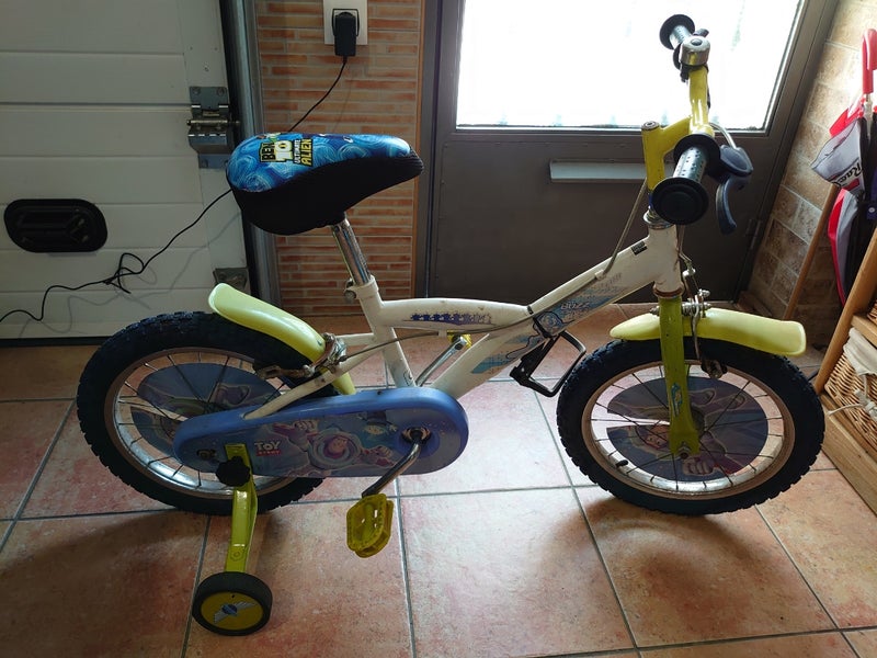 Bici ruedines