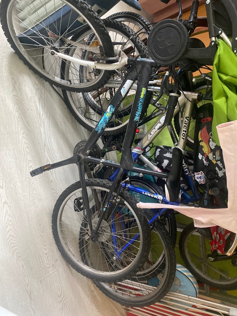 Ciclas 