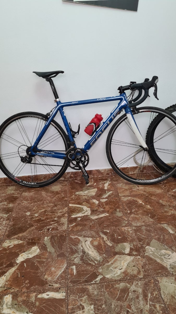 Focus Cayo carbono