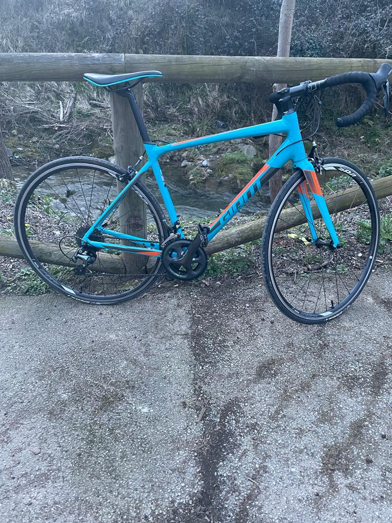 Giant Contend SL2 