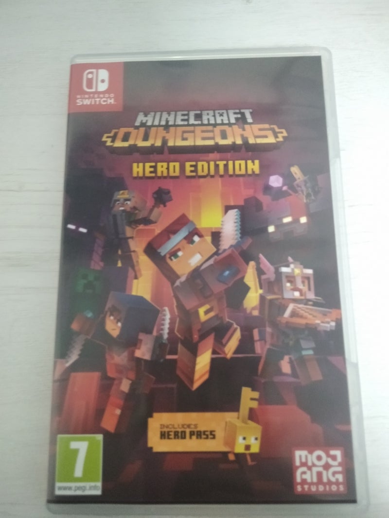 Minecraft Dungeons Nintendo switch