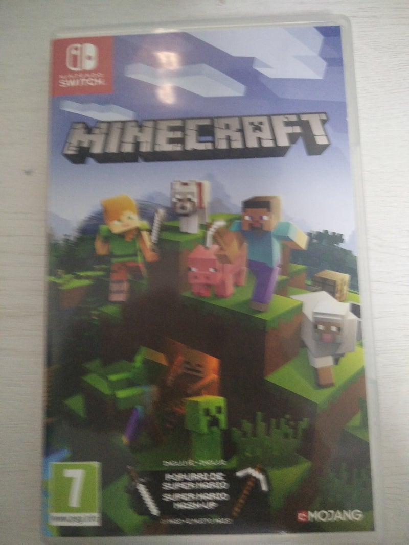 Minecraft Nintendo switch