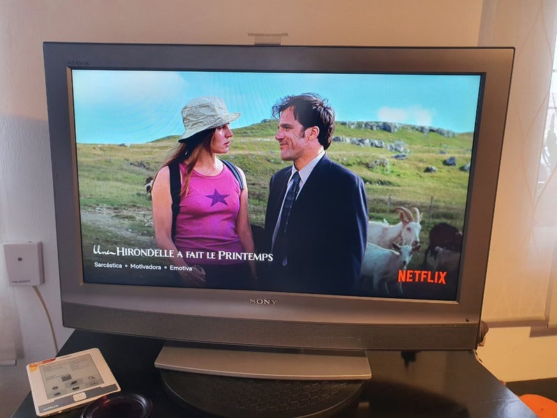 Televisión 36