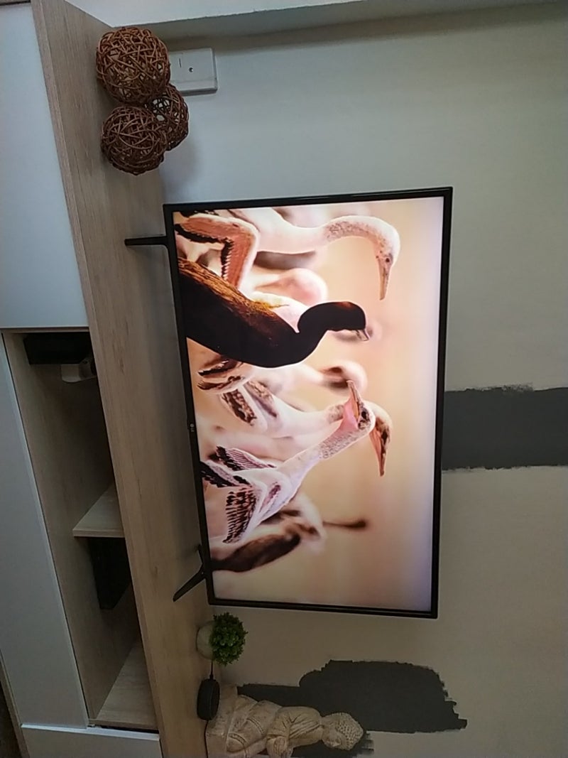 Televisión LG 43 pulgadas con android
