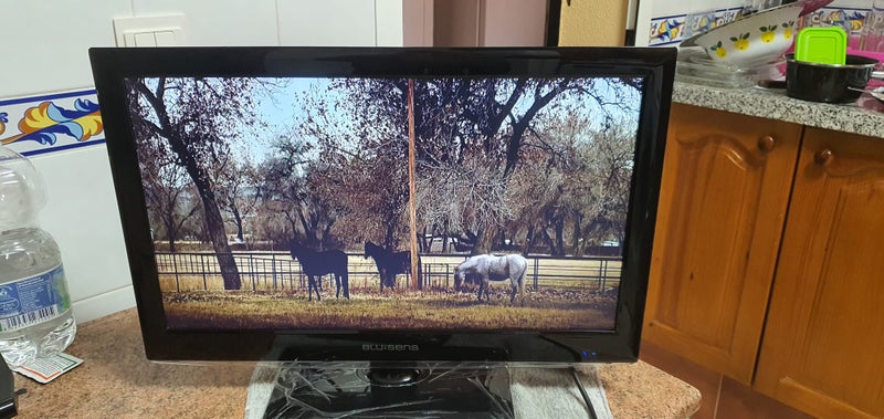 TV BluSens 22” HDMI y USB