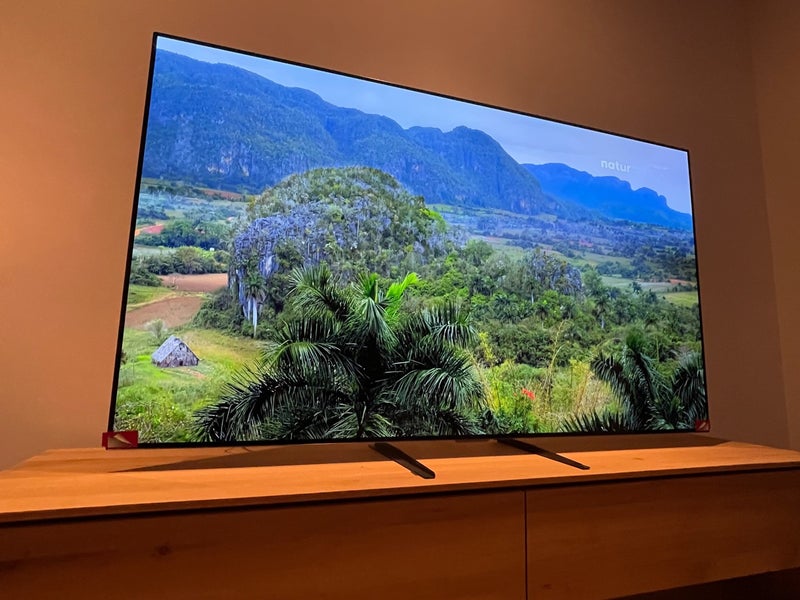 TV LG OLED 65G16LA