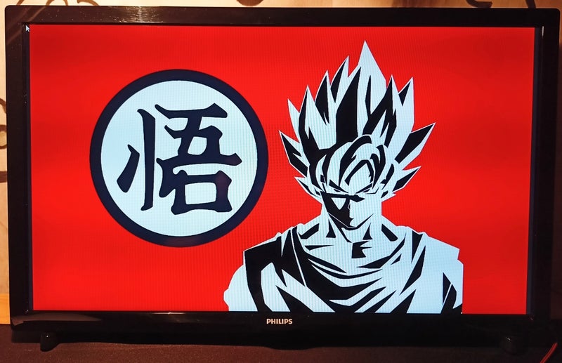 TV Philips 24